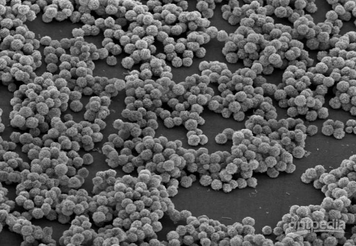 纳米颗粒载体在医药领域的研究探索 纳米材料的革新与应用